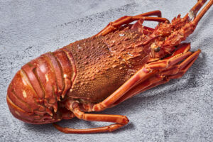 Langosta_01