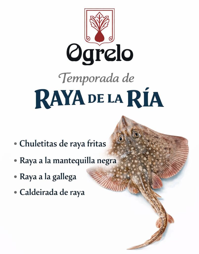 temporada-raya-plato